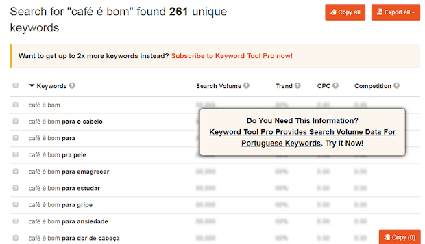 Print de uma pesquisa de palavras-chave no Keyword Tools