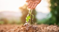 Agricultor aguando uma planta no solo, simbolizando a nutrição de leads