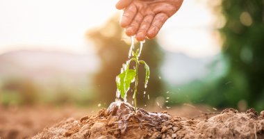 Agricultor aguando uma planta no solo, simbolizando a nutrição de leads