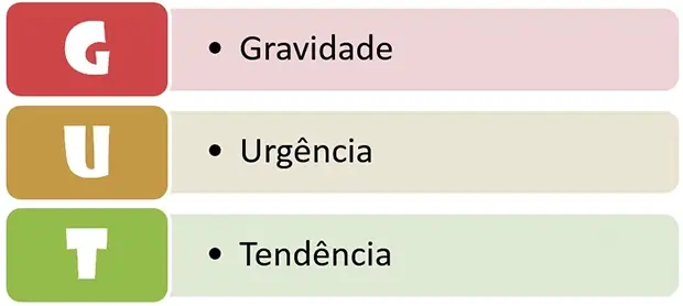 Definição de Matriz GUT